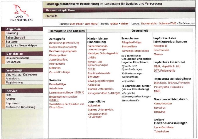 Startseite Gesundheitsplattform, Quelle Jahresbericht 2008
